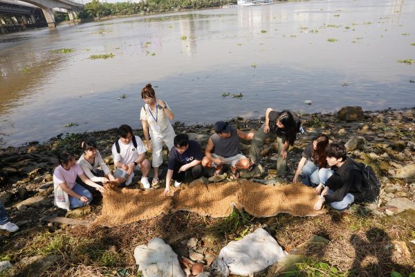 riverbank erosion, Mekonglink, M-expert, vegetation mat
