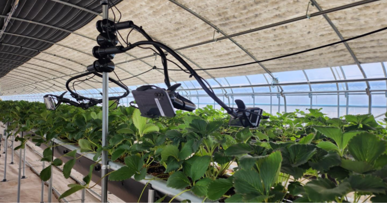 Large Scale Greenhouse System Management: Flexible Regional Monitoring While Ensuring Effective Centralized Control Large-scale businesses require a system that is both flexible by zone and ensures centralized management of the entire system. greenhouse system, Mekonglink, M-expert